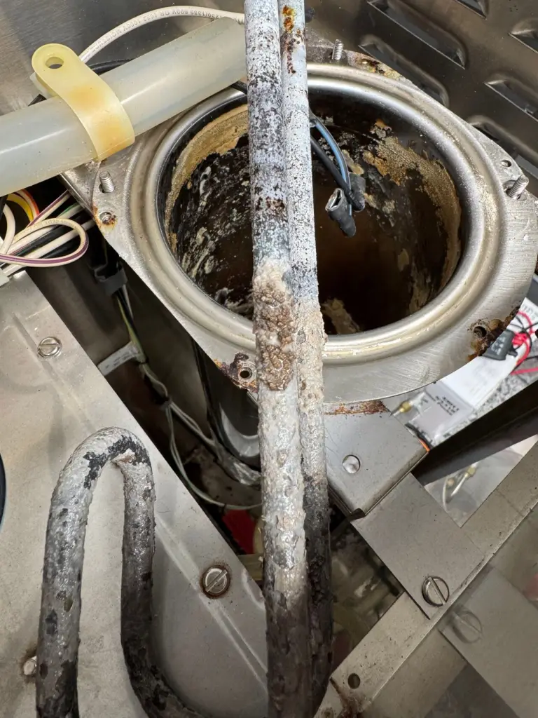 Heating element coated in mineral scale removed from a coffee brewer tank